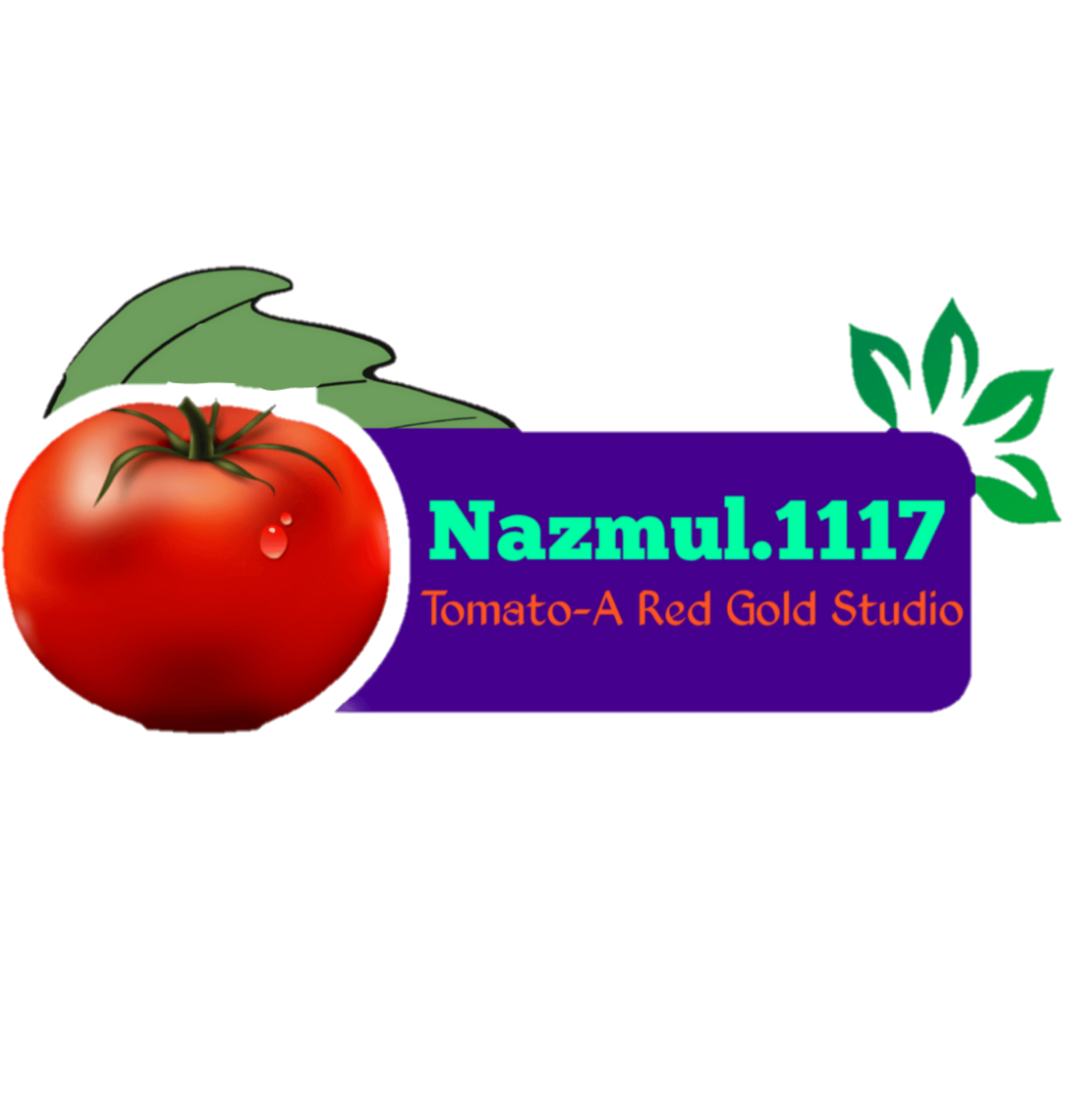 Nazmul Portfolio Logo